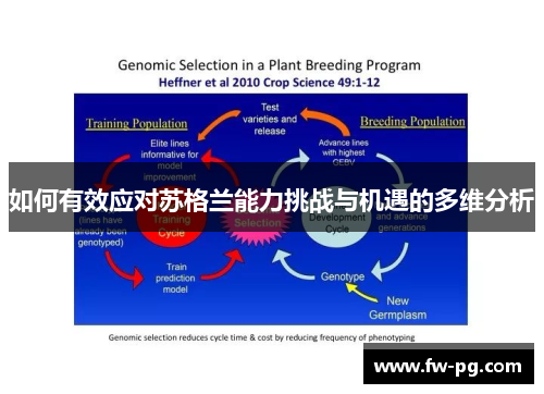 如何有效应对苏格兰能力挑战与机遇的多维分析 如何有效应对苏格兰能力挑战与机遇的多维分析