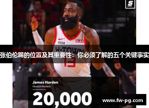 张伯伦踢的位置及其重要性：你必须了解的五个关键事实