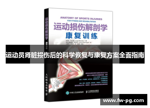 运动员肾脏损伤后的科学恢复与康复方案全面指南 运动员肾脏损伤后的科学恢复与康复方案全面指南